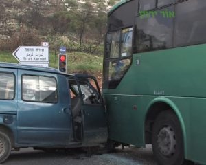 תמונות: עמותת אור ירוק