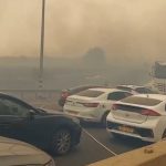 רכבים עולים באש צילום: עובדי ויערני קק״ל