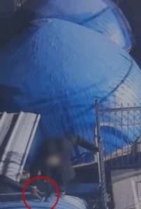 נזק חמור לתשתיות האבטחה במירון לקראת ההילולהצילום: דוברות המשטרה