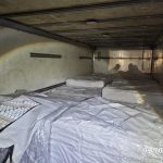 צילום: המועצה לענף הלול ודוברות המשטרה